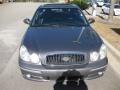 Slate Gray Metallic - Sonata GLS V6 Photo No. 8