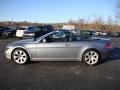 Silver Grey Metallic - 6 Series 645i Convertible Photo No. 10