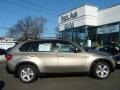 Platinum Bronze Metallic - X5 3.0si Photo No. 1