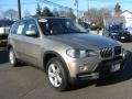 Platinum Bronze Metallic - X5 3.0si Photo No. 2