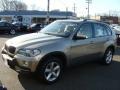 Platinum Bronze Metallic - X5 3.0si Photo No. 4