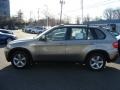 Platinum Bronze Metallic - X5 3.0si Photo No. 5