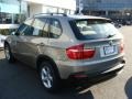 Platinum Bronze Metallic - X5 3.0si Photo No. 6