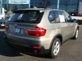Platinum Bronze Metallic - X5 3.0si Photo No. 8