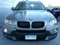 Platinum Bronze Metallic - X5 xDrive30i Photo No. 2