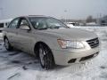 2009 Camel Pearl Hyundai Sonata GLS  photo #7