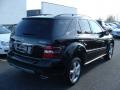 Black - ML 350 4Matic Photo No. 4