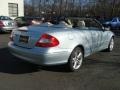 Iridium Silver Metallic - CLK 350 Cabriolet Photo No. 5