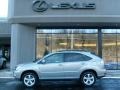 Bamboo Green Pearl - RX 350 AWD Photo No. 2
