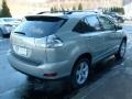 Bamboo Green Pearl - RX 350 AWD Photo No. 5