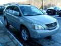Bamboo Green Pearl - RX 350 AWD Photo No. 6