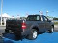 2008 Dark Shadow Grey Metallic Ford F150 XL Regular Cab  photo #3