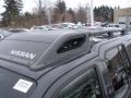 Night Armor Dark Gray - Xterra SE 4x4 Photo No. 13