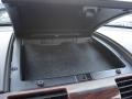 Black Clearcoat - Taurus SEL Photo No. 30