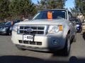 2008 Light Sage Metallic Ford Escape XLT V6 4WD  photo #1