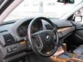 2001 Titanium Silver Metallic BMW X5 4.4i  photo #11