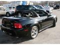 2002 Black Ford Mustang GT Convertible  photo #5