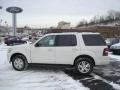 2010 White Suede Ford Explorer XLT 4x4  photo #6