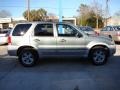 Titanium Green Metallic - Escape Hybrid 4WD Photo No. 5