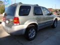 Titanium Green Metallic - Escape Hybrid 4WD Photo No. 6