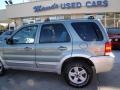 Titanium Green Metallic - Escape Hybrid 4WD Photo No. 29