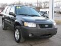 2006 Black Ford Escape Hybrid 4WD  photo #1