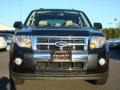 2009 Black Pearl Slate Metallic Ford Escape Limited V6  photo #7