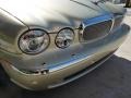 2007 Winter Gold Metallic Jaguar XJ XJ8  photo #12