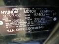 2003 Black Obsidian Hyundai Santa Fe LX 4WD  photo #37