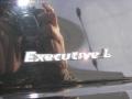 Black - Town Car Executive L Photo No. 10