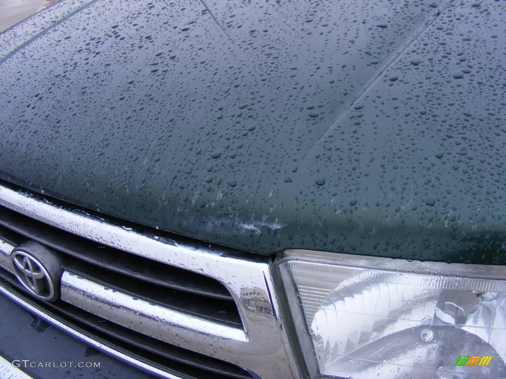 1999 4Runner  - Imperial Jade Green Mica / Oak photo #11