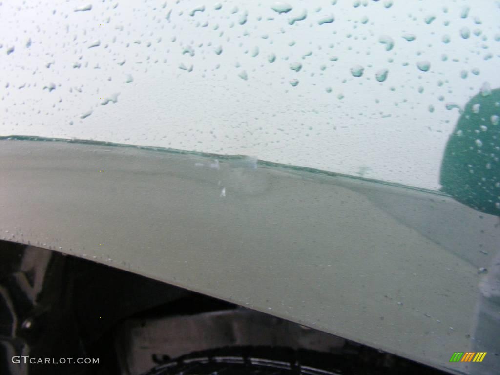 1999 4Runner  - Imperial Jade Green Mica / Oak photo #17