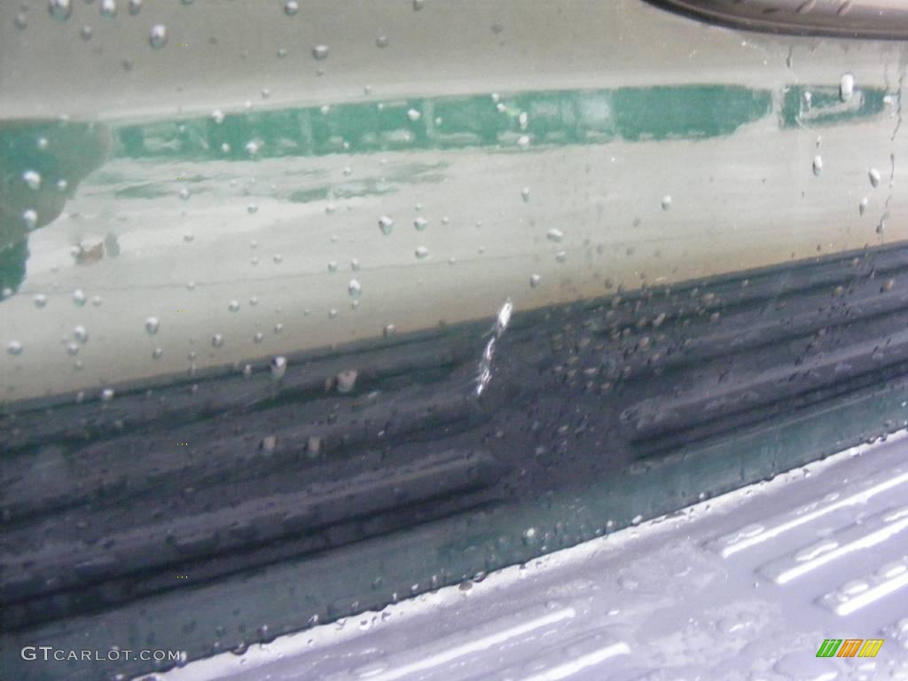1999 4Runner  - Imperial Jade Green Mica / Oak photo #23