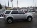 2008 Silver Metallic Ford Escape XLT V6  photo #5