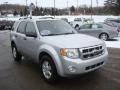 2008 Silver Metallic Ford Escape XLT V6  photo #6