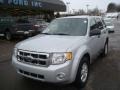 2008 Silver Metallic Ford Escape XLT V6  photo #11