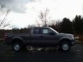 2010 Sterling Grey Metallic Ford F150 XL SuperCrew 4x4  photo #2