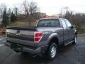 2010 Sterling Grey Metallic Ford F150 XL SuperCrew 4x4  photo #3