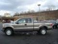 2010 Sterling Grey Metallic Ford F150 XL SuperCrew 4x4  photo #6