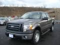 2010 Sterling Grey Metallic Ford F150 XL SuperCrew 4x4  photo #7