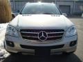 2007 Pewter Metallic Mercedes-Benz ML 350 4Matic  photo #2