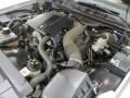 Silver Birch Metallic - Grand Marquis LS Ultimate Edition Photo No. 20