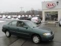 Jaded Green - Sentra GXE Photo No. 1
