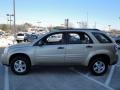 2007 Sandstone Metallic Chevrolet Equinox LS  photo #6