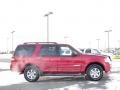 Redfire Metallic - Expedition XLT 4x4 Photo No. 4