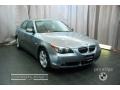 2007 Silver Grey Metallic BMW 5 Series 525xi Sedan  photo #6