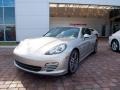 Platinum Silver Metallic - Panamera 4S Photo No. 8