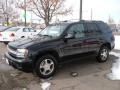 Black - TrailBlazer LS 4x4 Photo No. 3