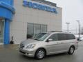 Silver Pearl Metallic - Odyssey EX-L Photo No. 1