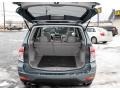 2009 Sage Green Metallic Subaru Forester 2.5 X Limited  photo #7